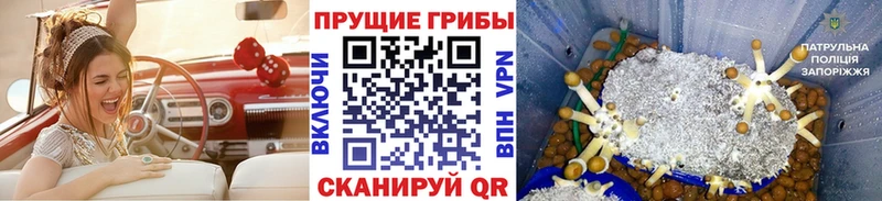 omg зеркало  Спас-Клепики  Псилоцибиновые грибы Magic Shrooms 